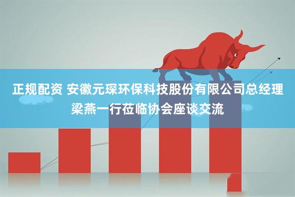 正规配资 安徽元琛环保科技股份有限公司总经理梁燕一行莅临协会座谈交流