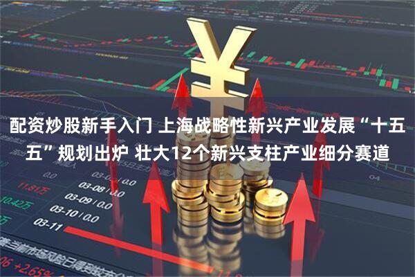 配资炒股新手入门 上海战略性新兴产业发展“十五五”规划出炉 壮大12个新兴支柱产业细分赛道